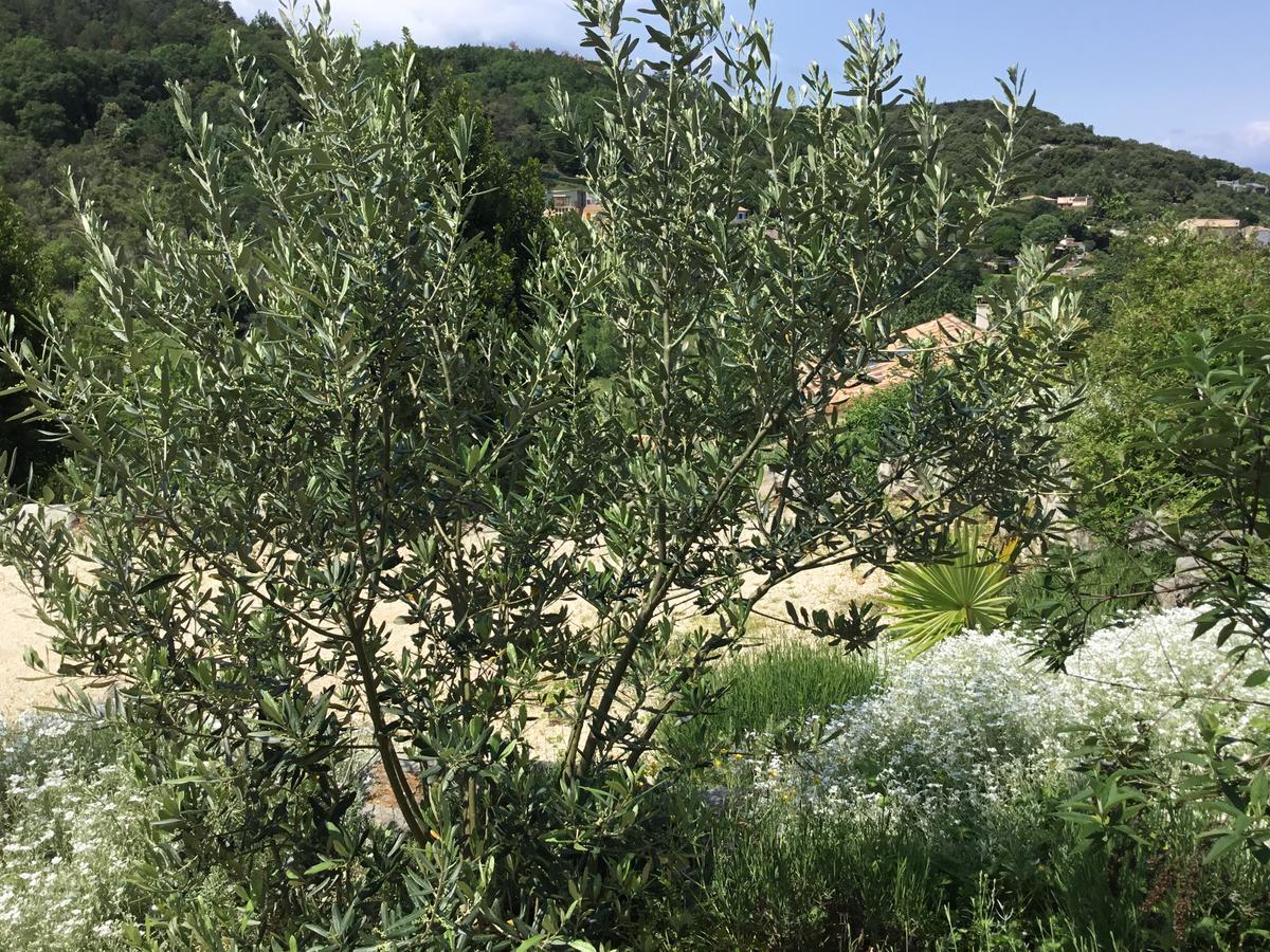 Les Palettes Ξενοδοχείο Salavas Εξωτερικό φωτογραφία